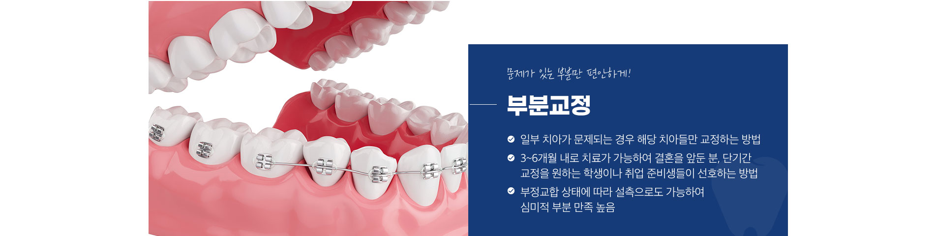 부분교정